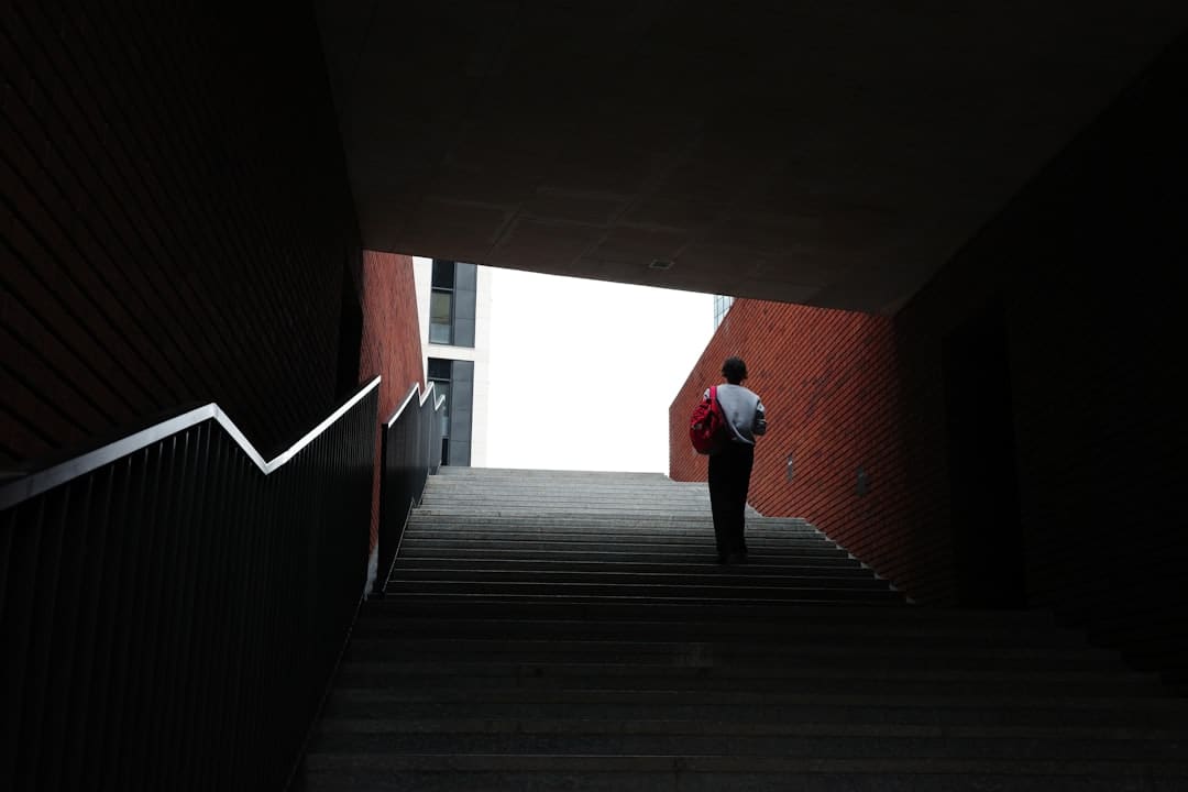 若确定旺仔小乔诈骗需考虑这些要素 律师剖析要害点